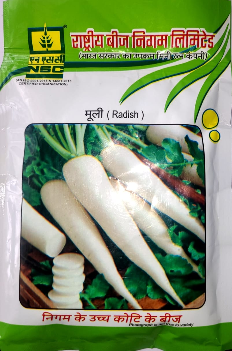 NSC Radish Kashi-Aadra T/L Seeds 100 GMS