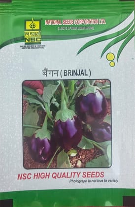 NSC Brinjal Pusa Uttam Seed,5gm 