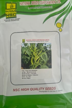NSC Guar Pusa Navbahar(PNB) Seed, 100gm 
