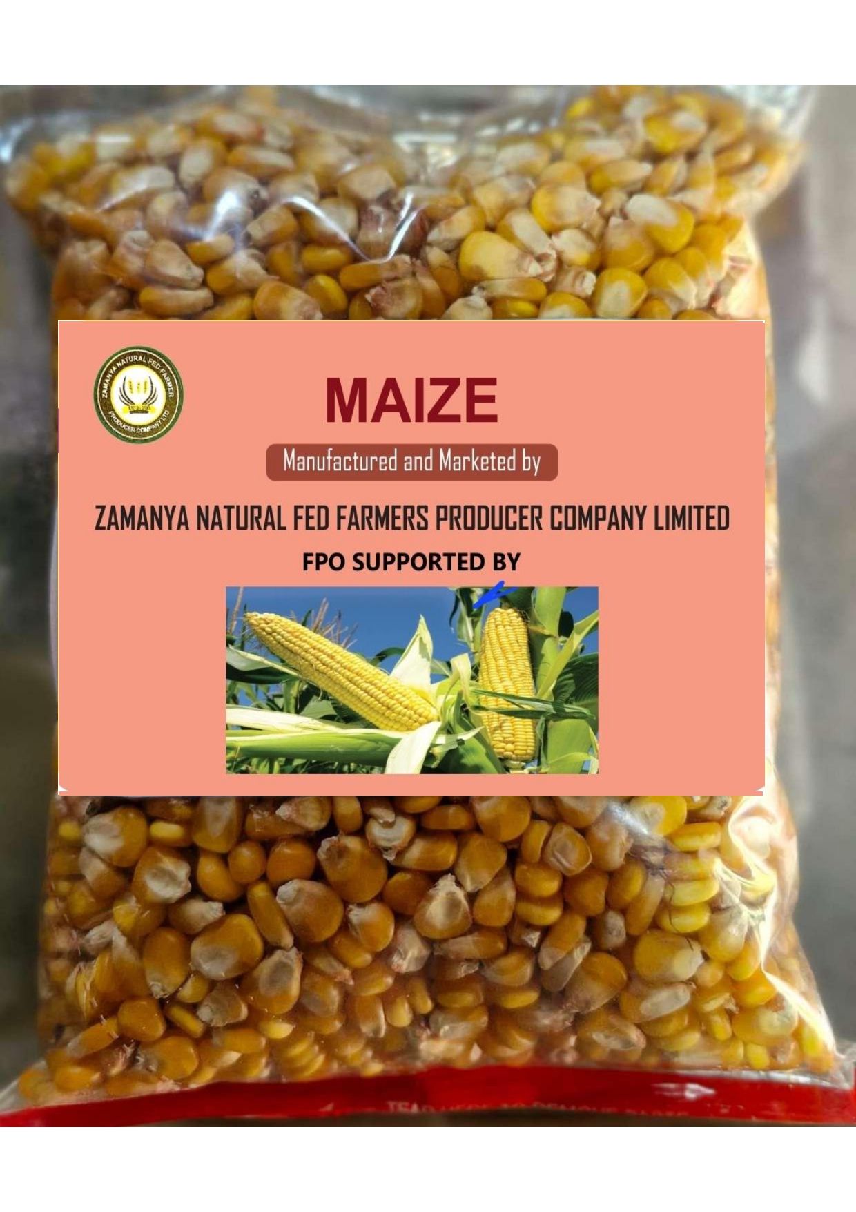 Maize