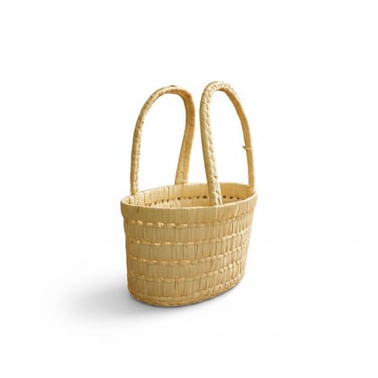 Natural Palm Basket