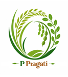 PUINTALA PRAGATI FARMER PRODUCER COMPANY LIMITED