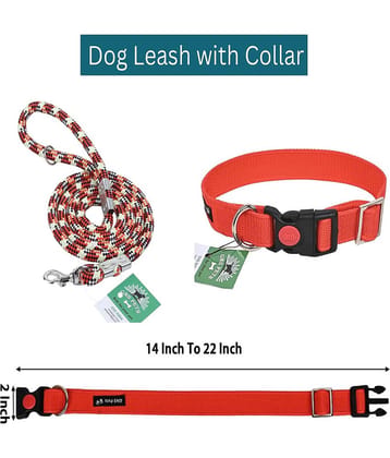 GNS PETS Multicolor Collar ( Medium )