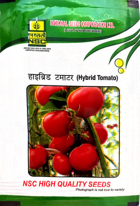 NSC Hybrid Tomato Kashi Abhiman, 5 gram TL seeds