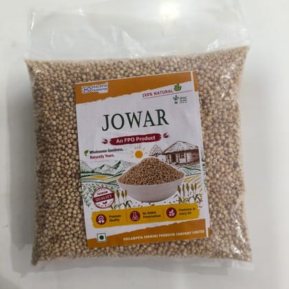 Premium Whole Jowar Grains (Jonnalu / Sorghum)