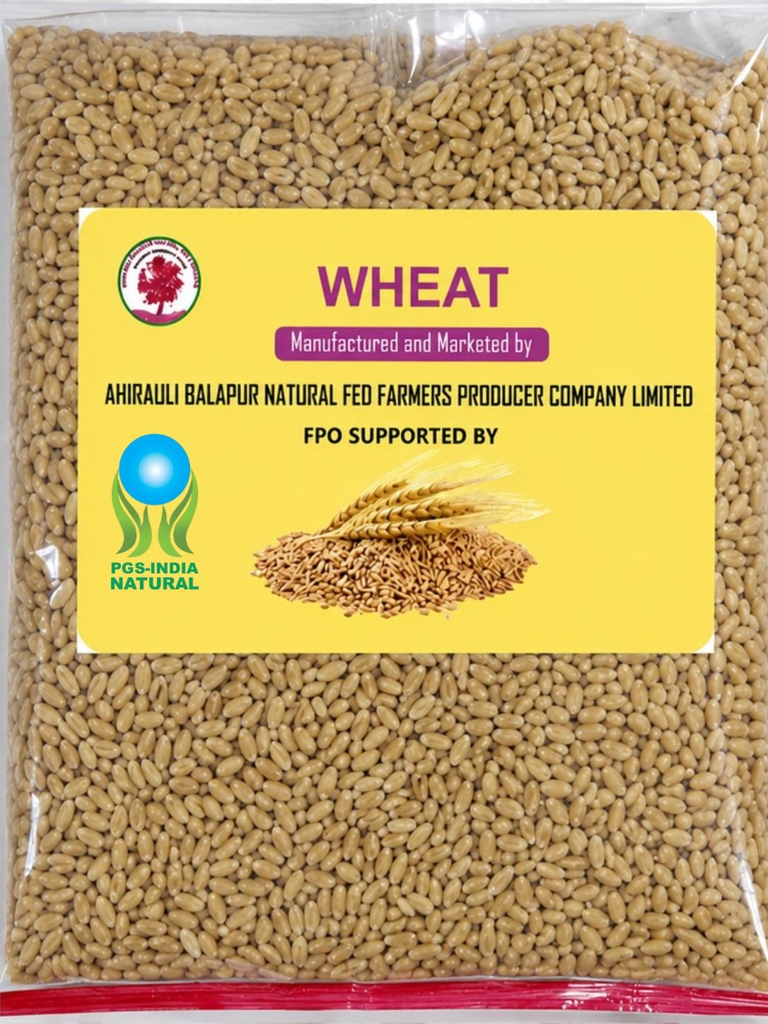 Natural Whole Wheat Grains (1kg)