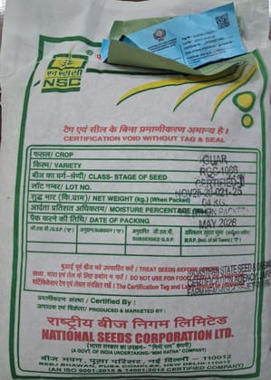 Guar RGC-1066 Certified Seed