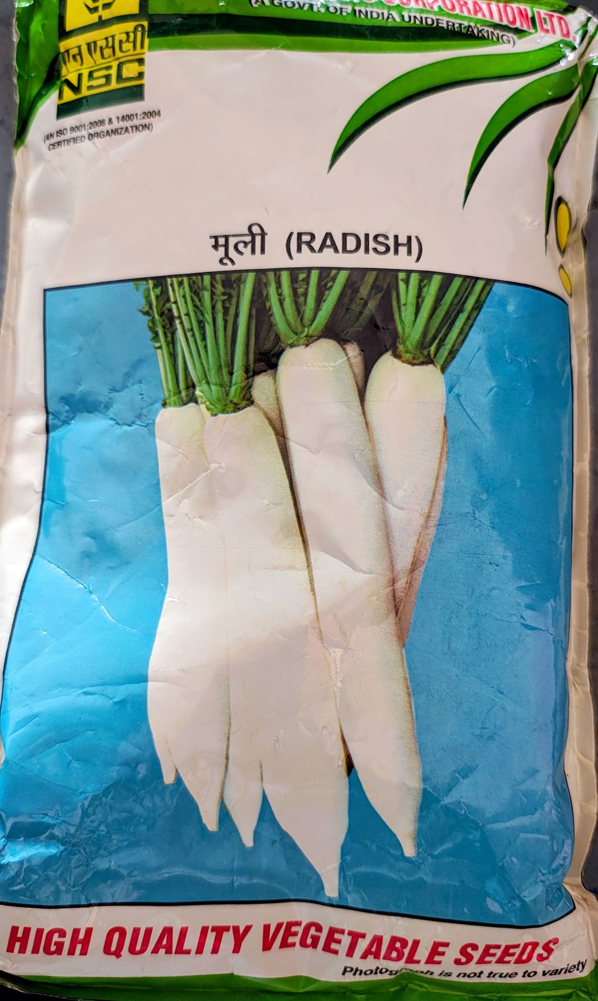 Radish – Pusa Chetki
