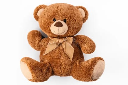  Teddy Bear Soft Toy