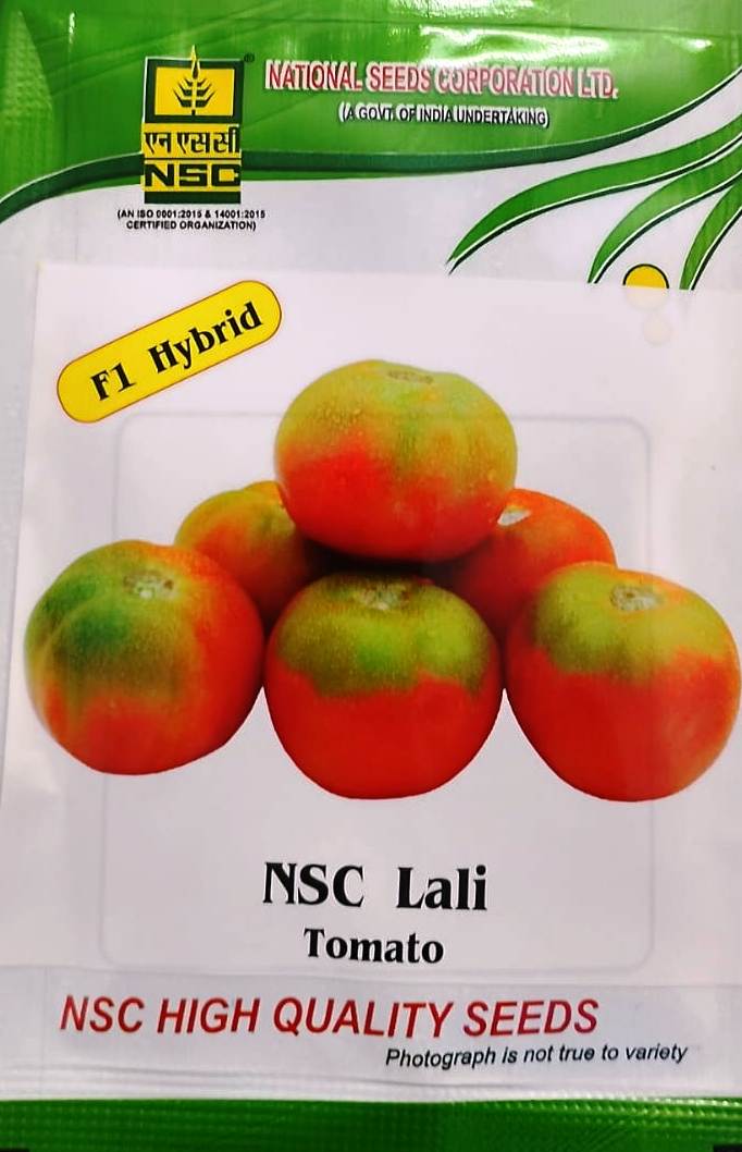 NSC Tomato Lali 5 gm Pack