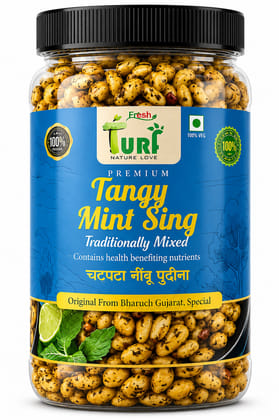 TURF FRESH Tangy Mint Sing Dana | Chatpata Nimbu Pudina Peanuts | Crunchy Snack TURF FRESH Tangy Mint Sing Dana | Chatpata Nimbu Pudina Peanuts | Crunchy Snack