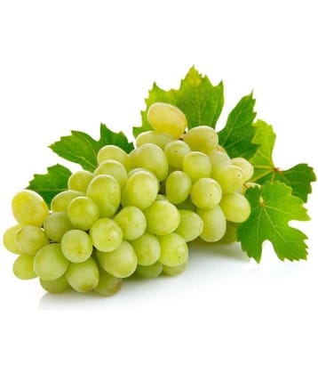 OhhSome Grape Fruit Seeds Seeds For A Garden Kitchen Garden Fruit Seeds Pack