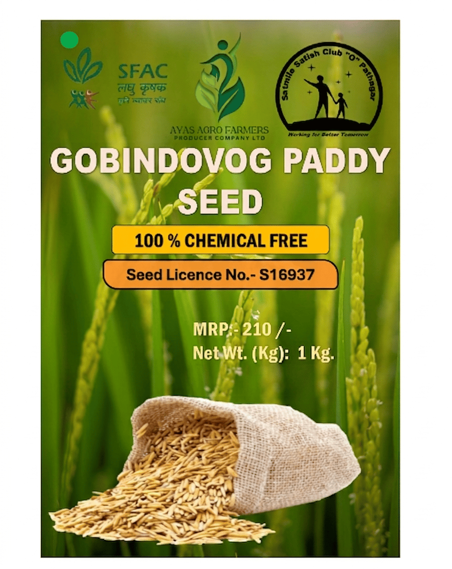 Gobindabhog Paddy Seed