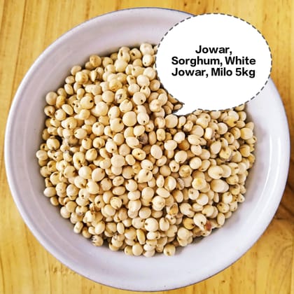 Jowar, Sorghum, White Jowar, Milo, Great Millet 5kg