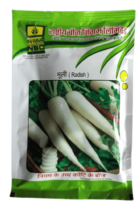 NSC Radish Variety - Pusa Chetki, 100 gm Packing, Treated (T/L) Seeds NSC Radish Variety - Pusa Chetki, 100 gm Packing, Treated (T/L) Seeds