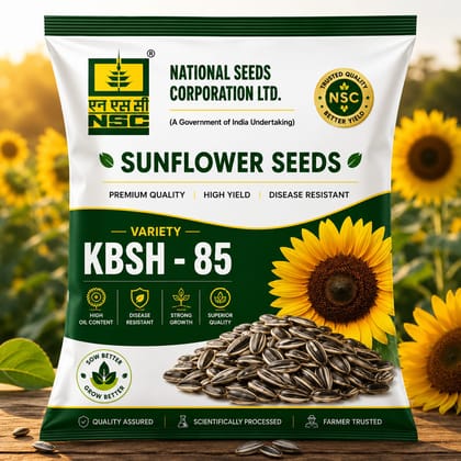 NSC SUNFLOWER KBSH 85 SEEDS 1 kg 
