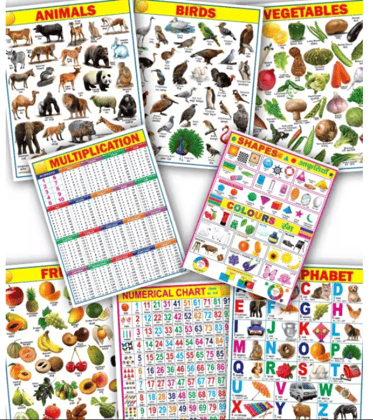 Learning Educational 8 Wall Charts for Kids (45 x 60 cm) – Educational Posters & Learning Charts for Early Education