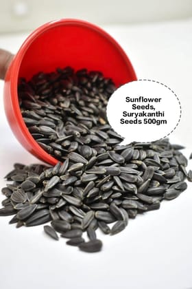 Sunflower Seeds, Suryakanthi Seeds, Black Sunflower Seeds, Premium Sunflower Seeds, Natural Sunflower Seeds 500gm