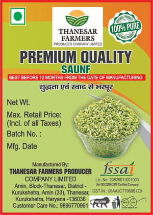 Thanesar Farmers Premium Quality Saunf (Fennel Seeds) 100 gram 
