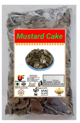 Mustard Cake