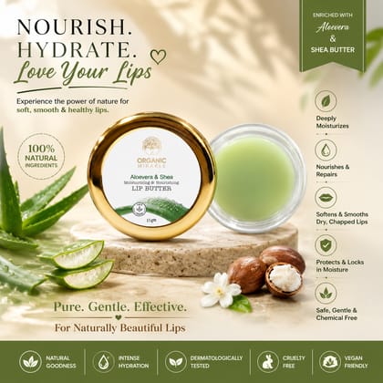 Elegantra Aloe Vera & Shea Butter Lip Balm Pack of 1 | Deep Moisturizing Lip Balm for Dry & Chapped Lips | Natural Lip Care for Soft, Smooth & Hydrated Lips | Nourishing Lip Moisturizer for Men & Women
