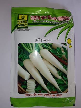 NSC Radish Pusa Chetki Seeds 100g