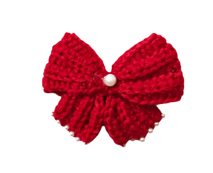 Handmade Crochet Bow Hair Clip (pack of 2)