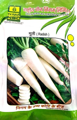 NSC Radish (Mooli) High Quality Seeds 100 gm Pouch