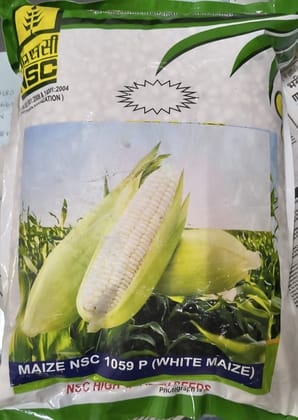 NSC- WHITE MAIZE var.-NSC 1059P