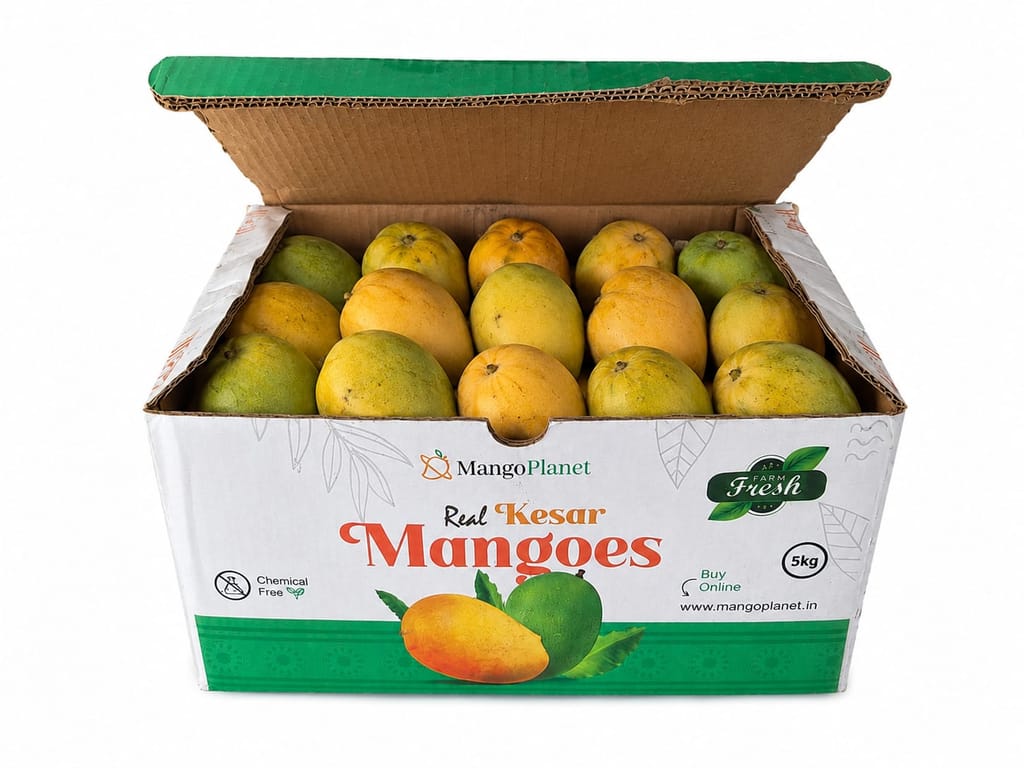 Jesar Mango 