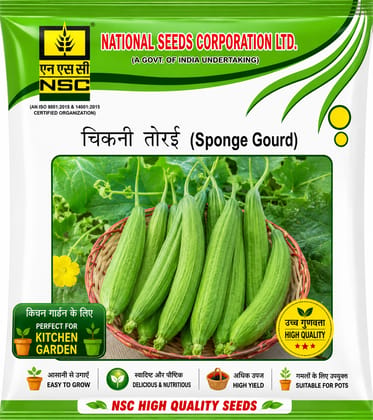 NSC Sponge gourd Pusa Sneha Seed, 10 gm the first to review this product