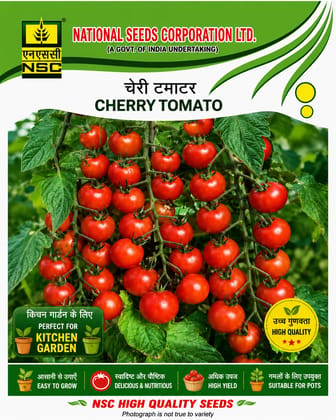 NSC Cherry Tomato, Pusa Cherry-3, 1 gm Seed Pouch