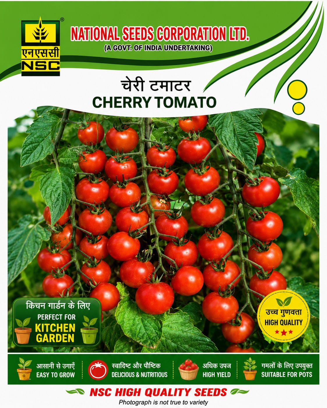 NSC Cherry Tomato, Pusa Cherry-3, 1 gm Seed Pouch