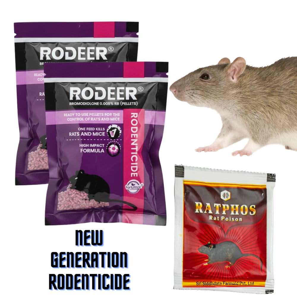 Rat Killer Pellets & Zinc Phosphide 80% Combo | Rodenticide for Home Office Godowns | Chuha Maar 50GMx2+10GMx1 - Fresheners and Repellents | Buy online on ZillyBuy