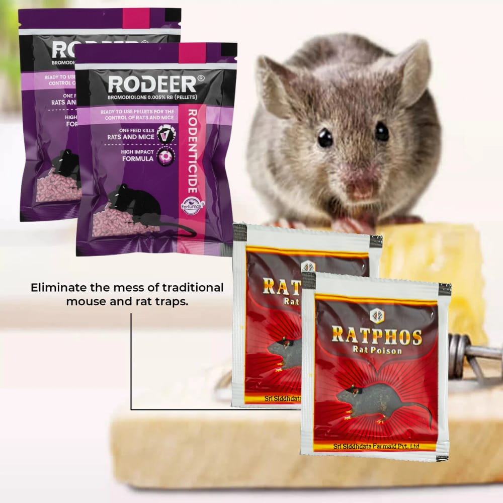 Rat Killer Pellets & Zinc Phosphide 80% Combo | Rodenticide for Home Office Godowns | Chuha Maar 50GMx2+10GMx2