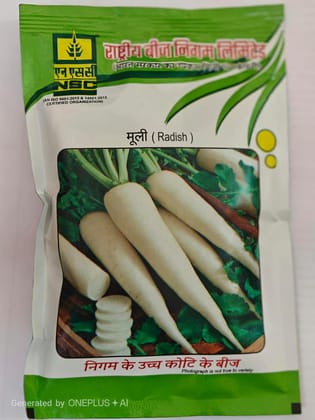 RADISH Pusa Chetaki 100 Gm