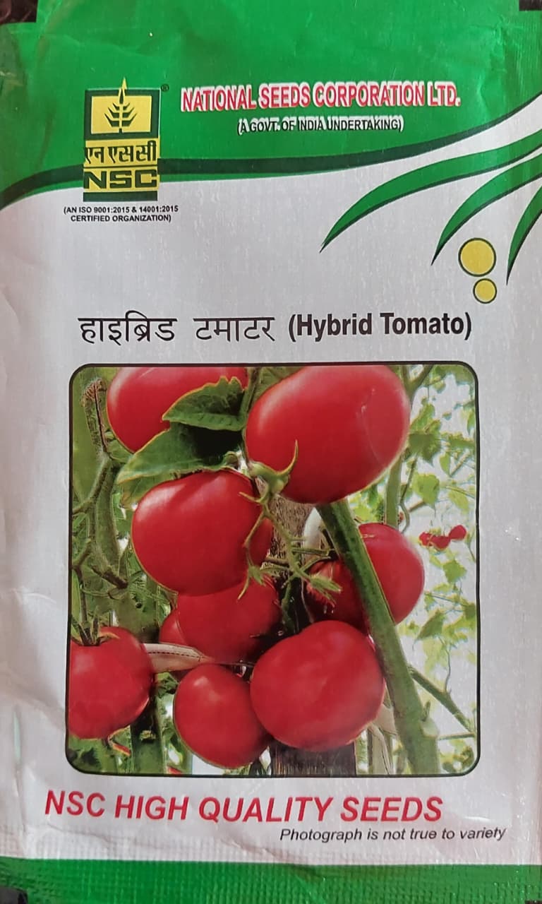 NSC Hyb.Tomato/Arka Samrat -10 gm