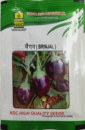 NSC BRINJAL- PUSA UTTAM SEED TL 10 GM