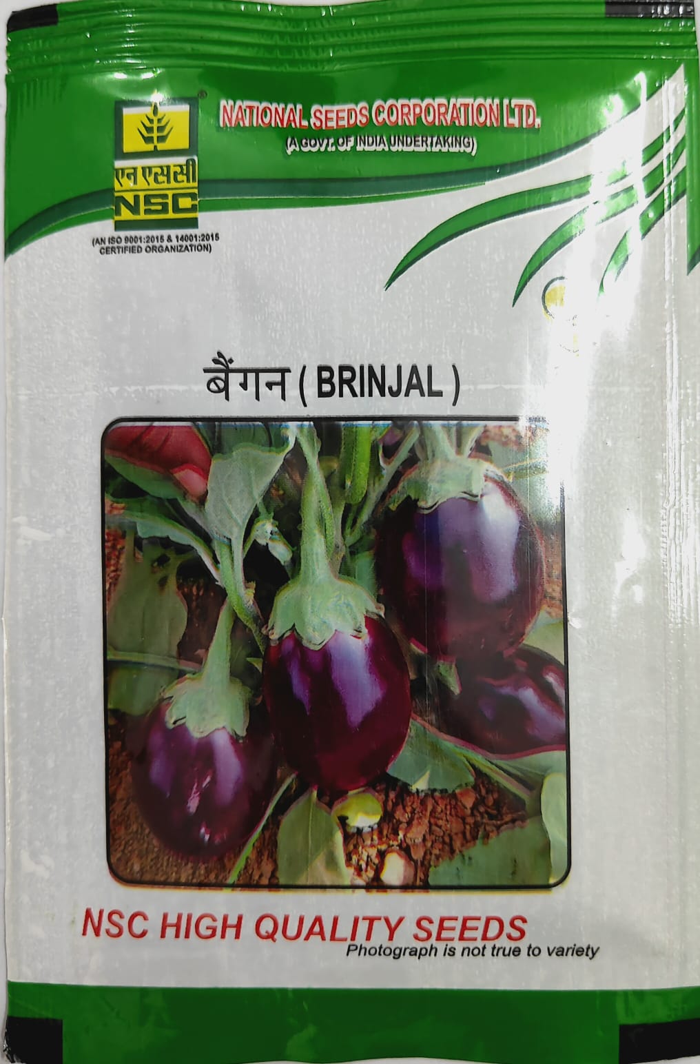 NSC BRINJAL- PUSA UTTAM SEED TL 10 GM