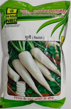 NSC RADISH SEED PUSA CHETKI TL 250 GM 