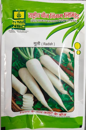 NSC RADISH SEED PUSA CHETKI TL 100 GM