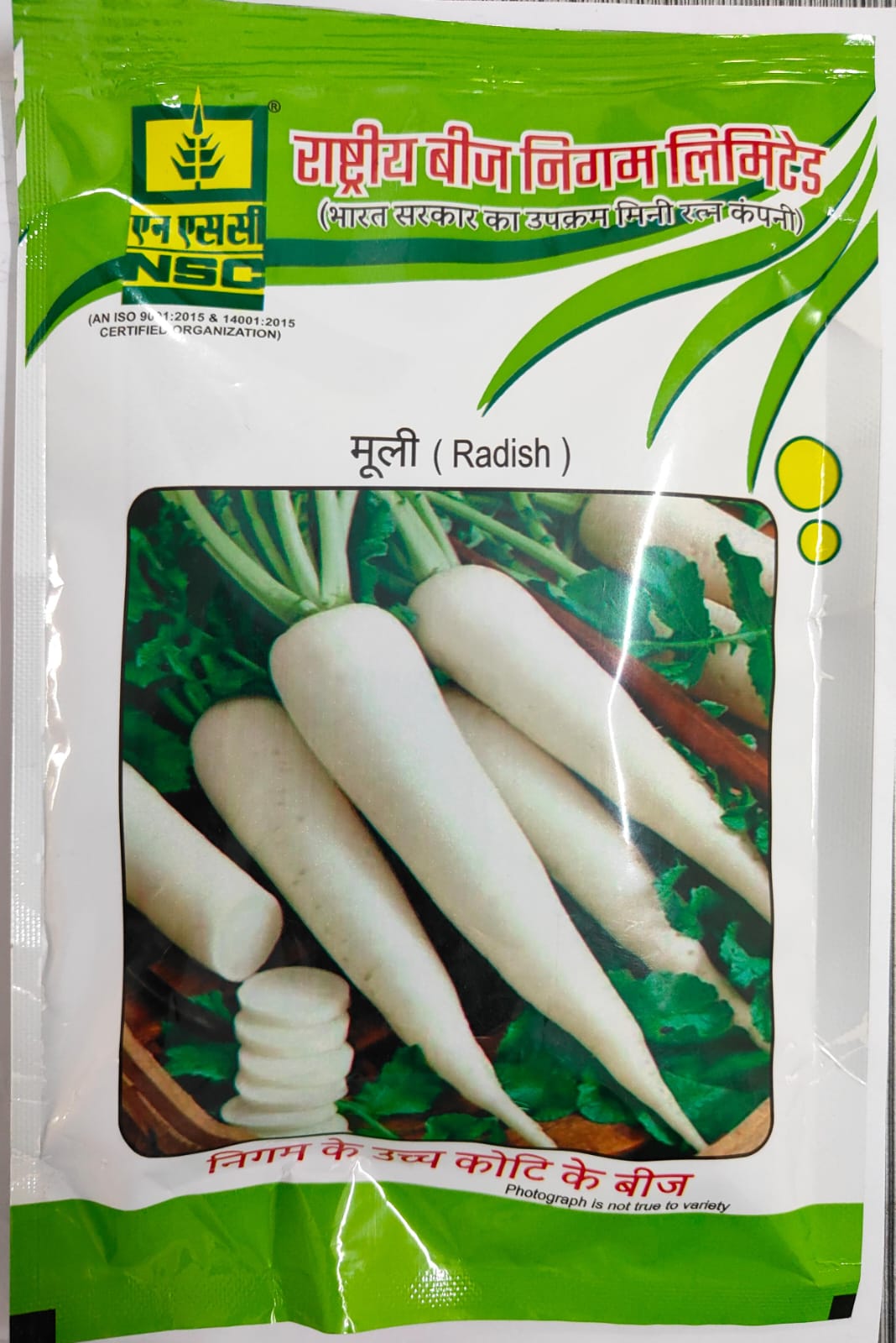 NSC RADISH SEED PUSA CHETKI TL 100 GM