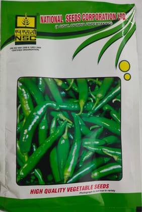 NSC CHILLI SEED KASHI ANMOL TL 25 GM