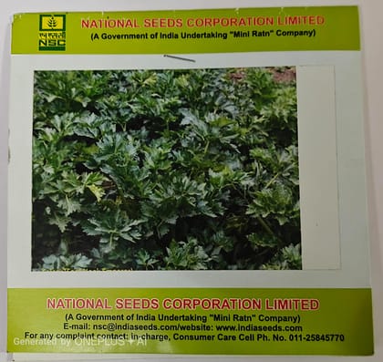 NSC Celery – Ford Hook Emperor (TL) 05 Gm