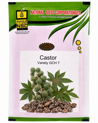 NSC Castor Variety GCH 7 Seeds - 2 kg Pack NSC Castor Variety GCH 7 Seeds - 2 kg Pack