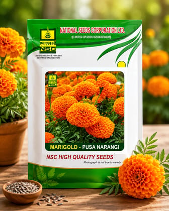 NSC Marigold Pusa Narangi NSC Marigold Pusa Narangi