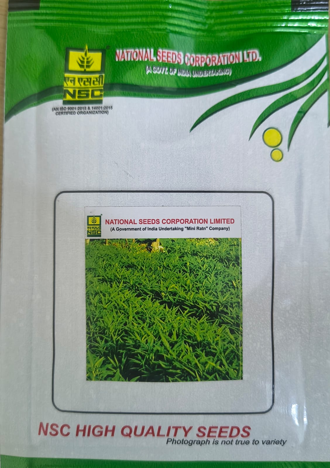 NSC Water Spinach(KALMI SAG) Seed, 10gm 