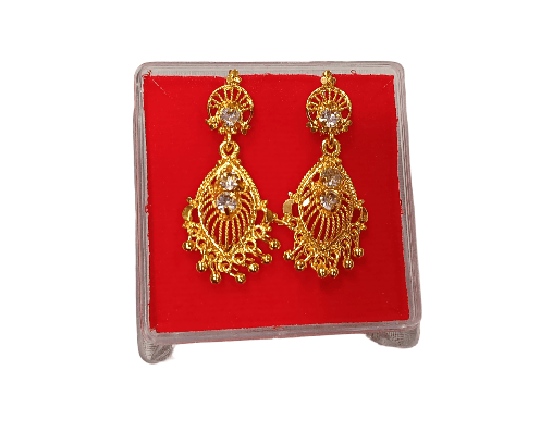 EarRings For Women Long