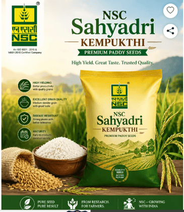 Paddy Sahyadri Kempumukthi