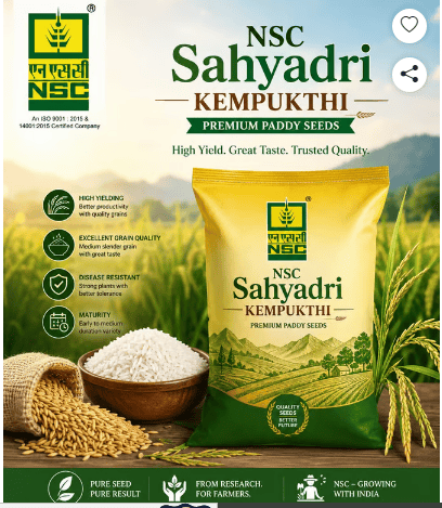 Paddy Sahyadri Kempumukthi